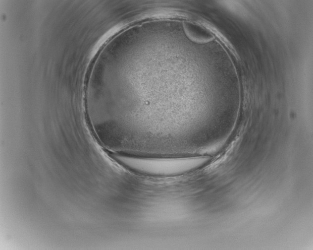 X0000069840853200606021359