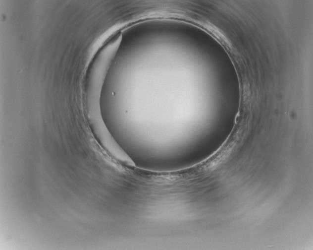 X0000069840854200606021359