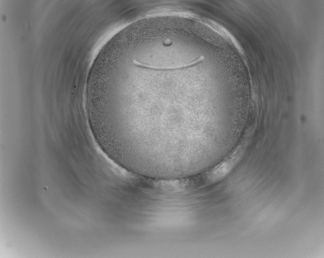 X0000069840855200606021359