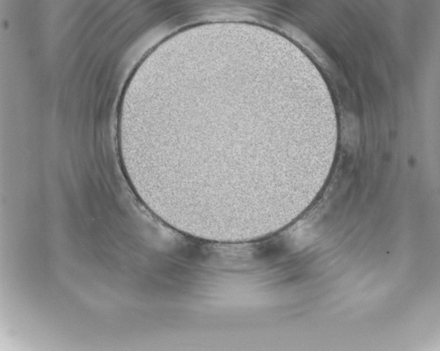 X0000069840856200606021359