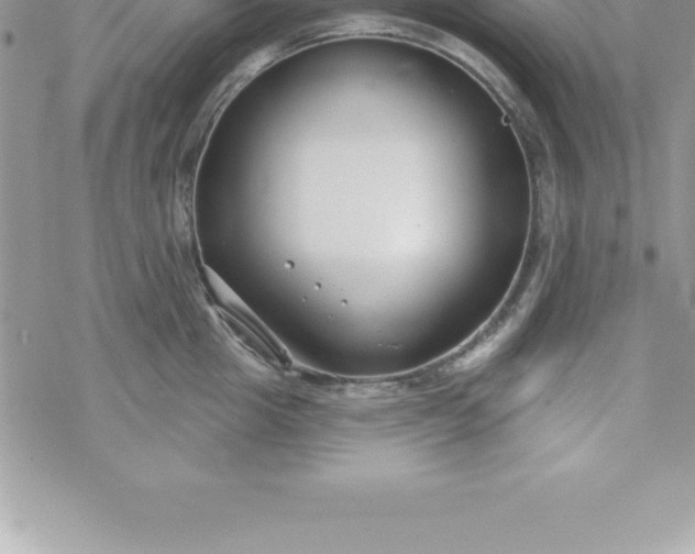 X0000069840857200606021359