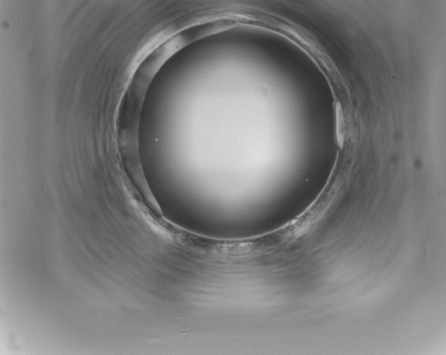 X0000069840858200606021359