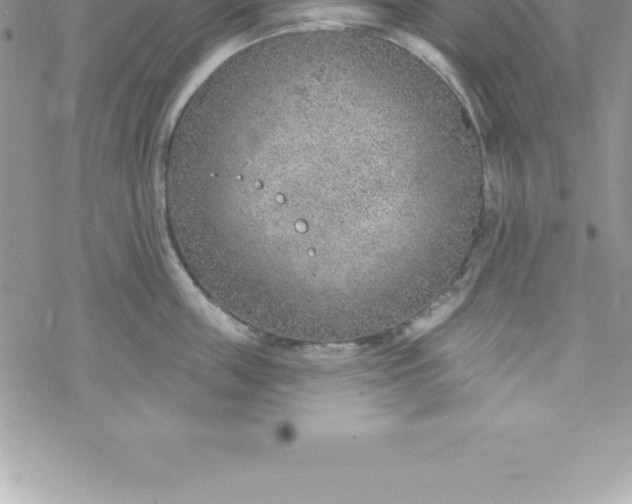 X0000069840859200606021400