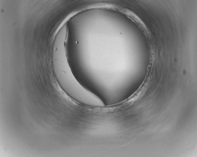 X0000069840860200606021400