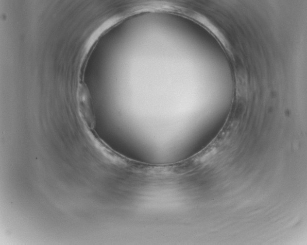 X0000069840861200606021400