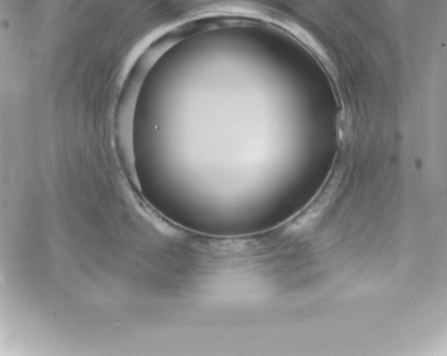 X0000069840862200606021400