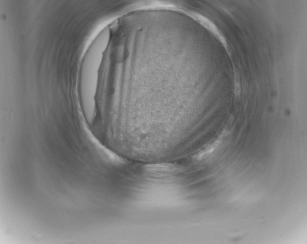 X0000069840863200606021400