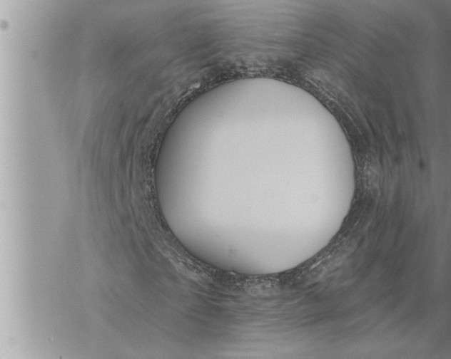 X0000069840865200606021359