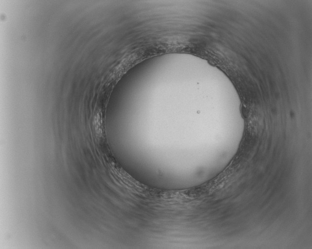 X0000069840866200606021359