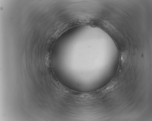 X0000069840867200606021359