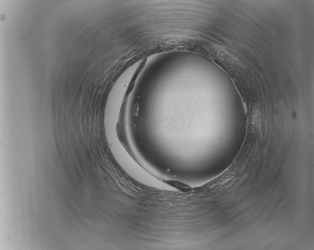 X0000069840868200606021359