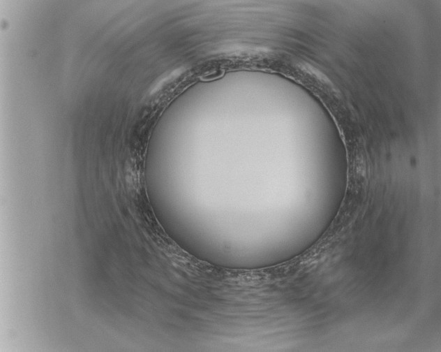 X0000069840869200606021359