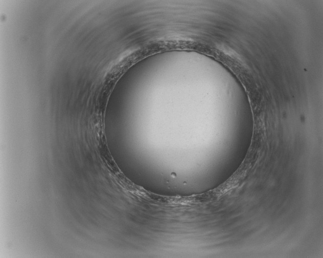 X0000069840870200606021359