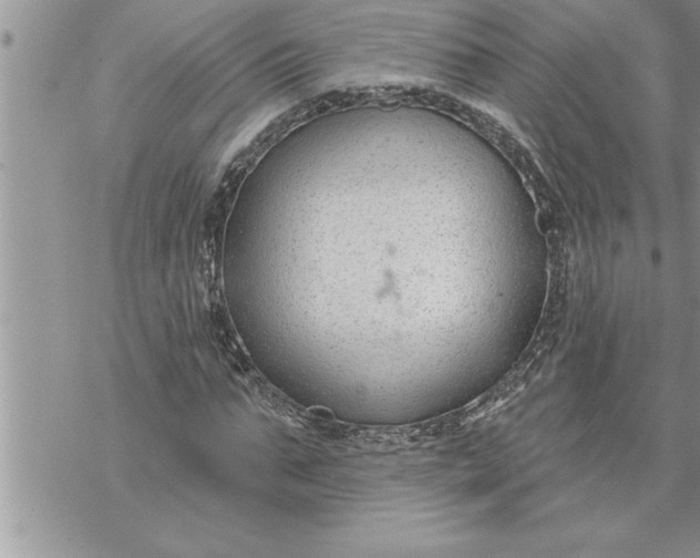 X0000069840871200606021359