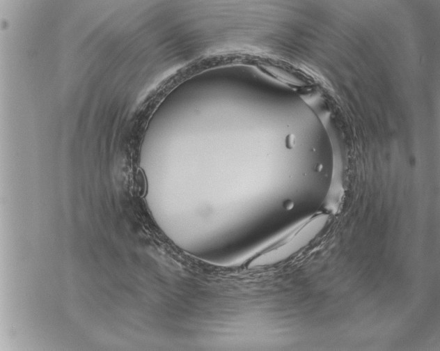 X0000069840872200606021359