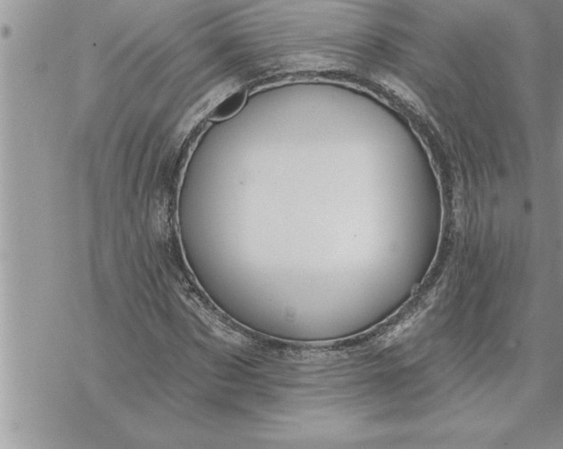 X0000069840873200606021359