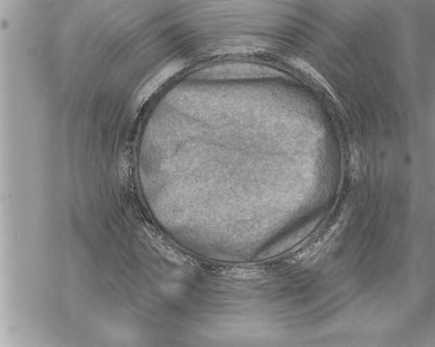 X0000069840874200606021359