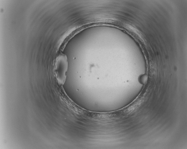 X0000069840875200606021359