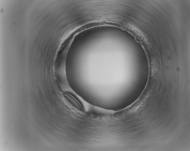 X0000069840876200606021359