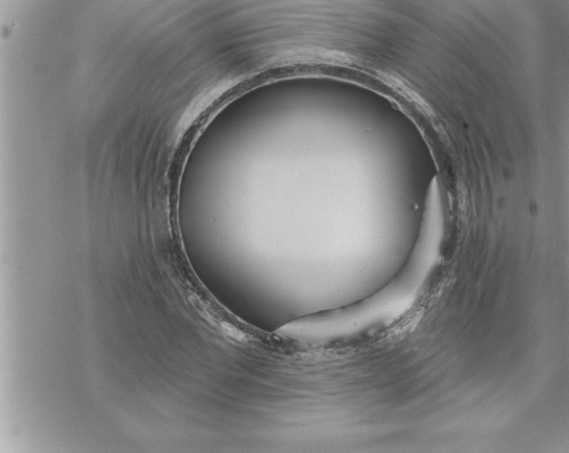 X0000069840877200606021359