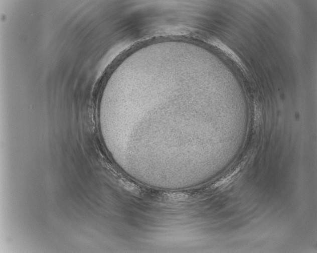 X0000069840878200606021359