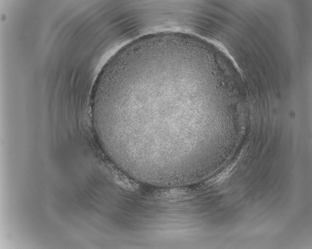 X0000069840879200606021359