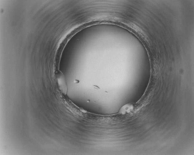 X0000069840880200606021359