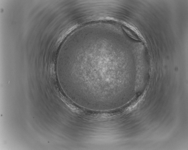 X0000069840881200606021359