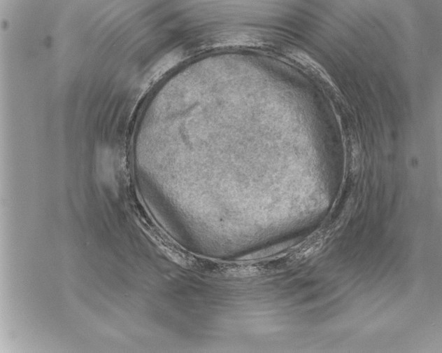 X0000069840882200606021359