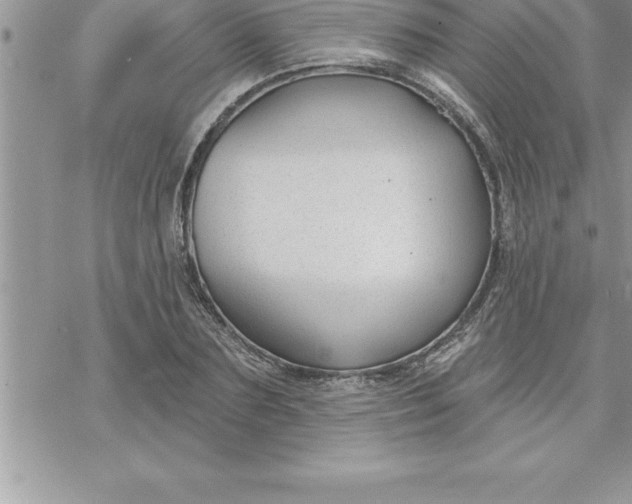 X0000069840883200606021359