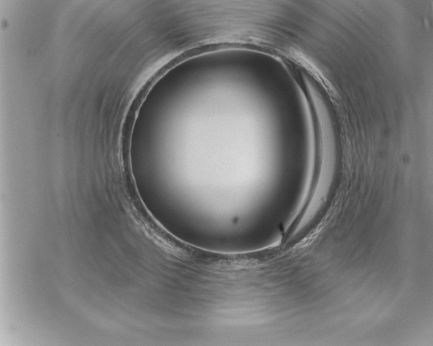 X0000069840884200606021358