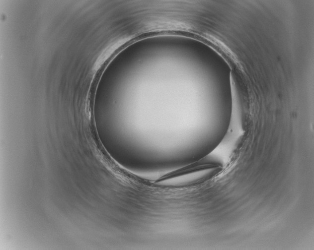 X0000069840885200606021358