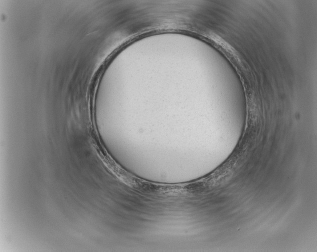 X0000069840886200606021358