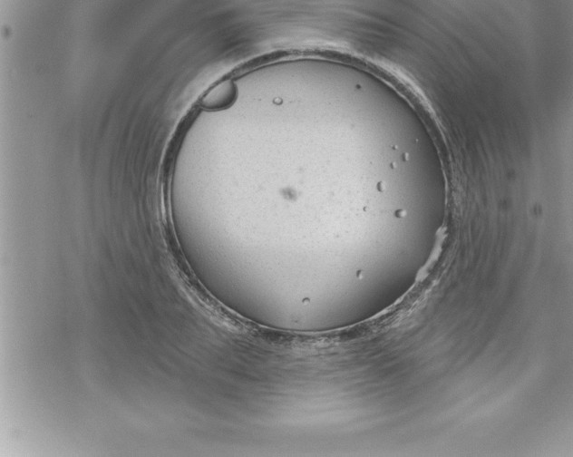 X0000069840887200606021358