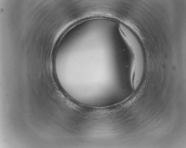 X0000069840888200606021358