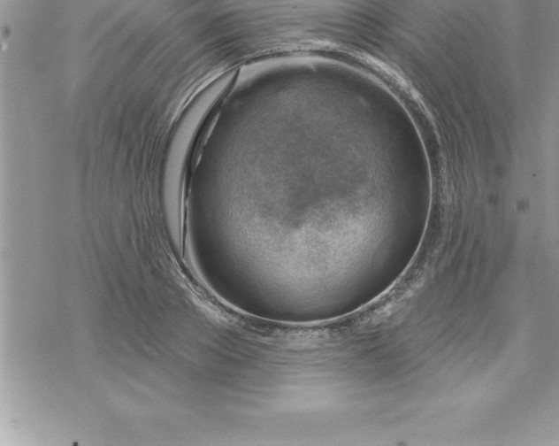 X0000069840889200606021358