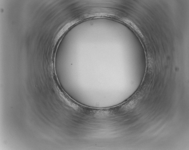 X0000069840890200606021358