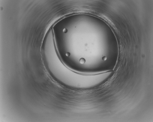 X0000069840891200606021358