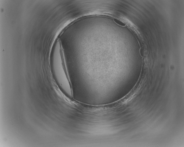 X0000069840892200606021358