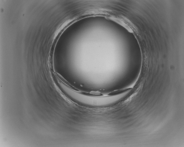 X0000069840893200606021358