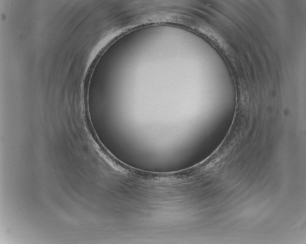 X0000069840894200606021358