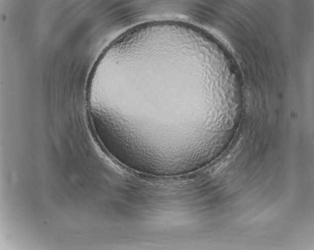 X0000069840895200606021358