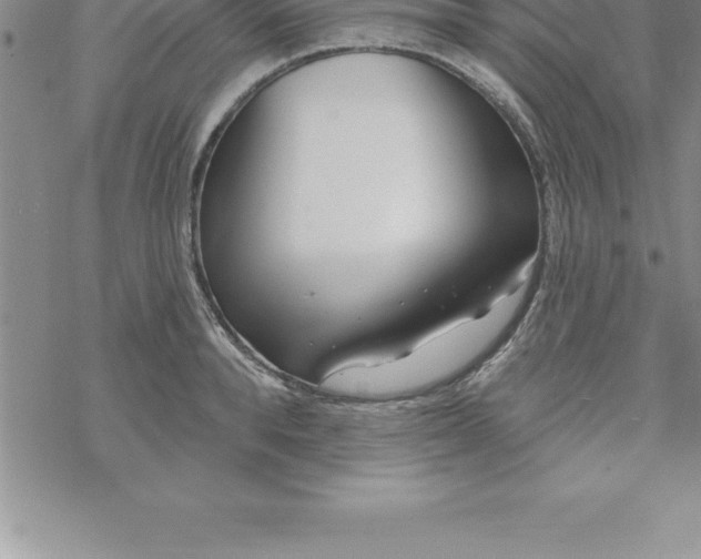 X0000069840896200606021358