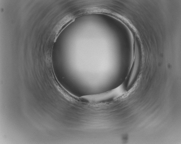 X0000069840897200606021358