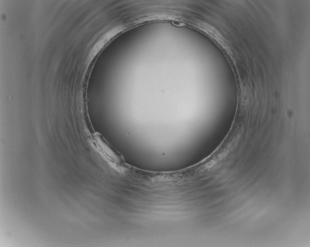 X0000069840898200606021358