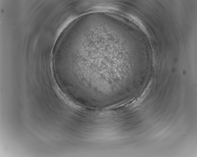 X0000069840899200606021358