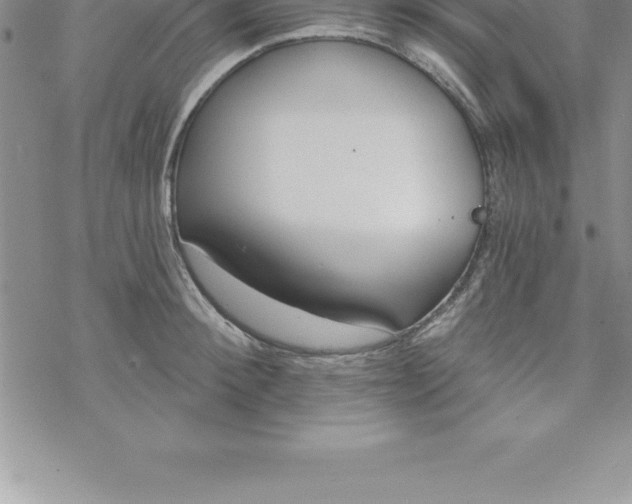 X0000069840900200606021358