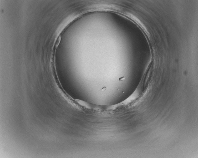 X0000069840901200606021358