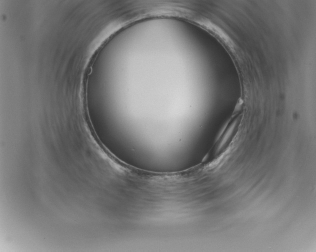 X0000069840902200606021358