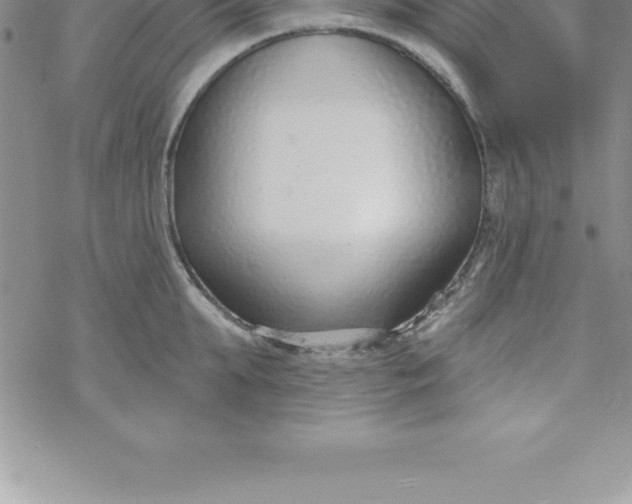 X0000069840903200606021358